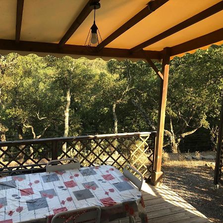 Camping De Parpaillon Roquebrune-sur-Argens Exterior foto